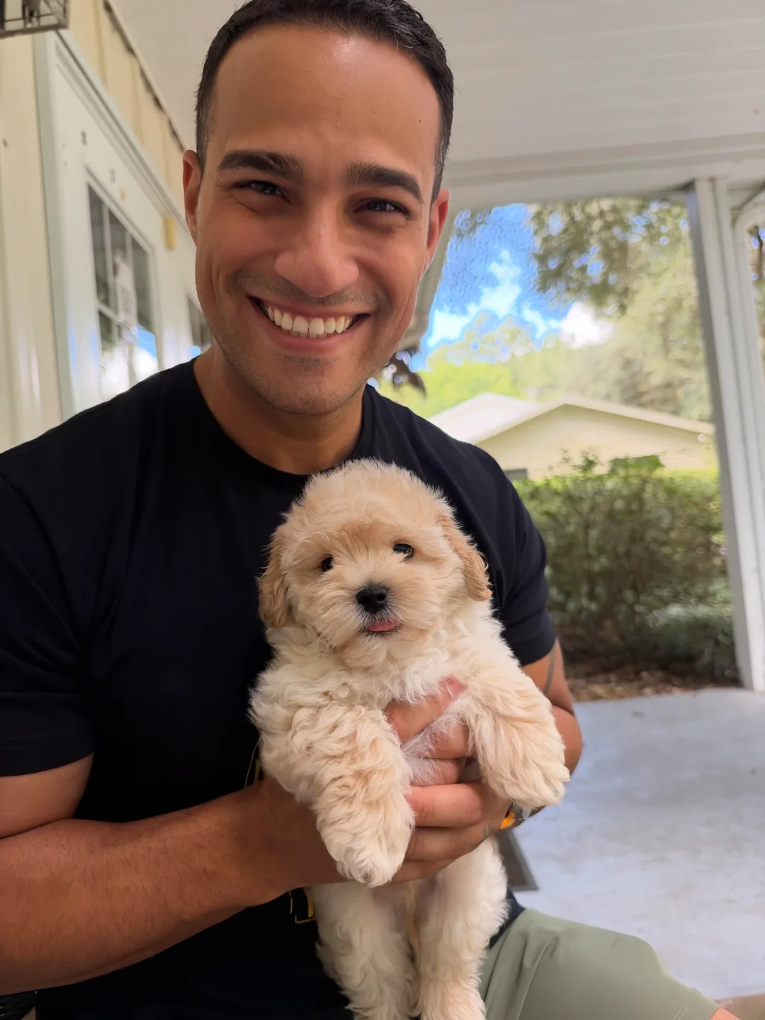  ⁠Black and gold Yorkipoo puppy looking up at the camera