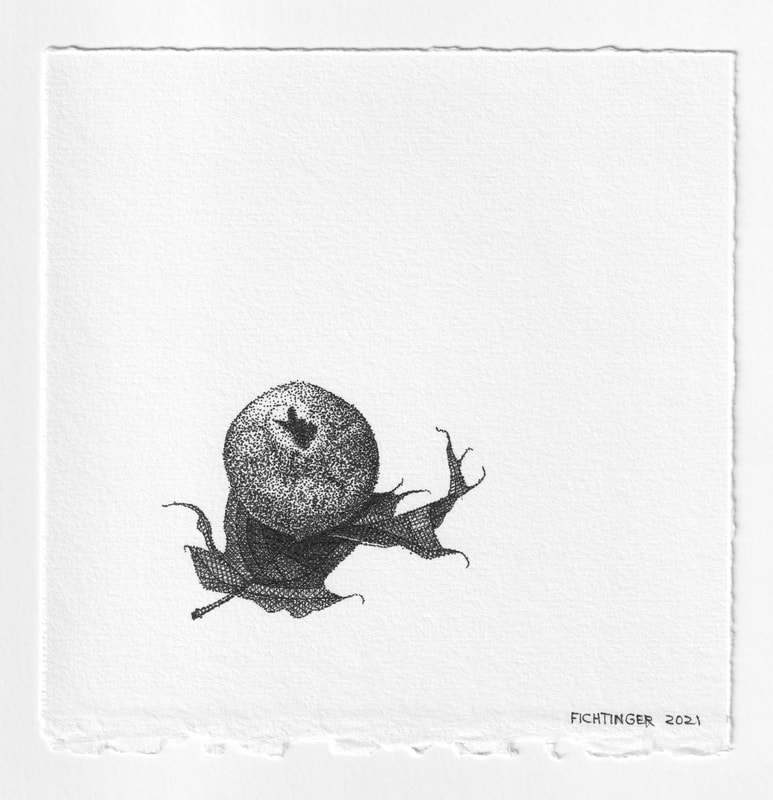 ink drawing of natural object