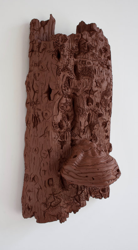 ceramic bracket fungi