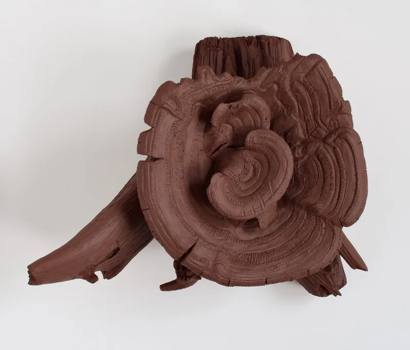 ceramic bracket fungi