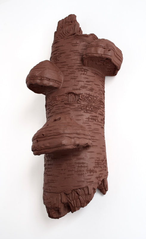 ceramic bracket fungi