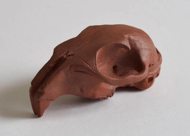 ceramic animal skull