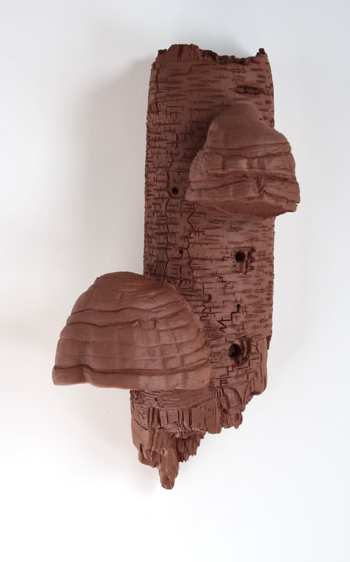 ceramic bracket fungi