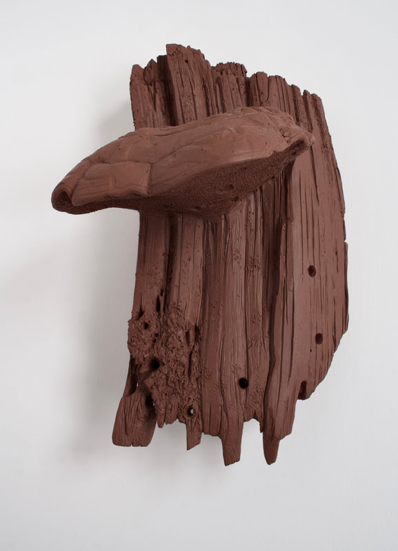 ceramic bracket fungi