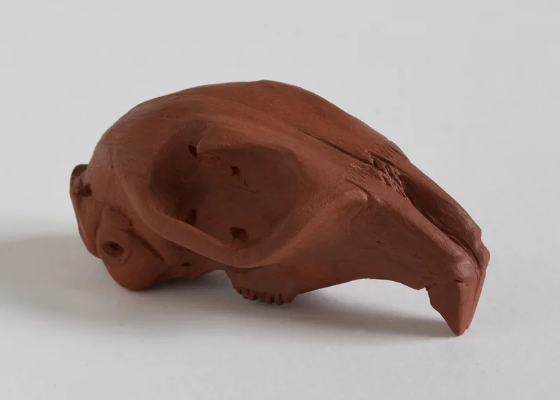 ceramic animal skull
