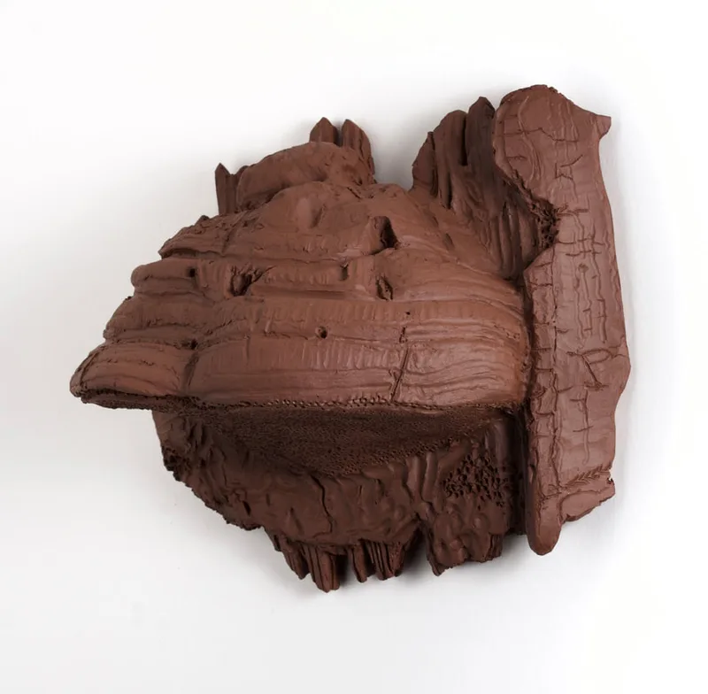 ceramic bracket fungi