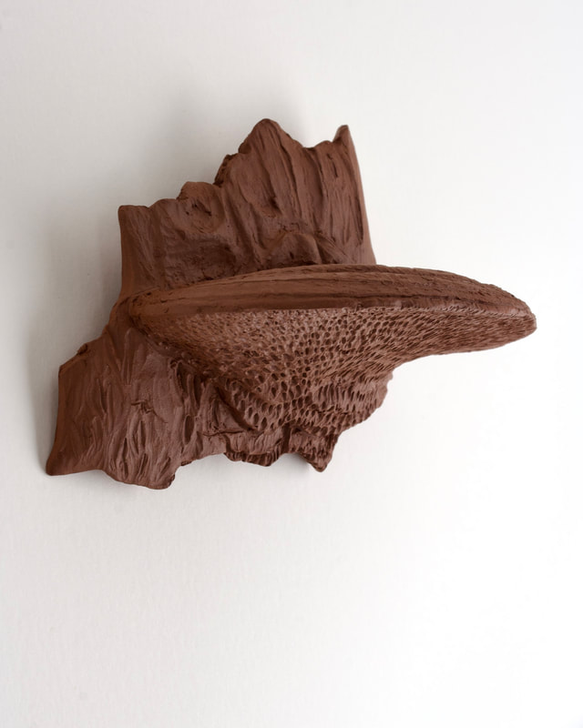 ceramic bracket fungi
