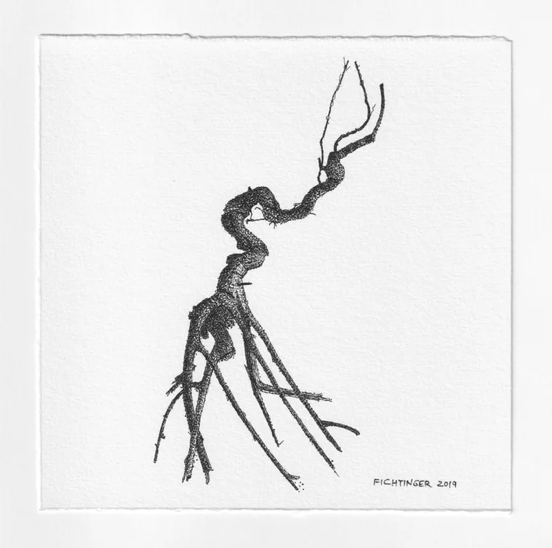 ink drawing of natural object