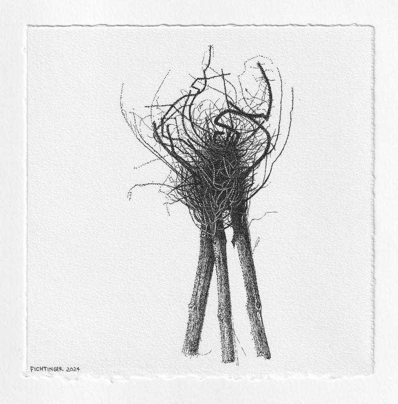 ink drawing of natural object