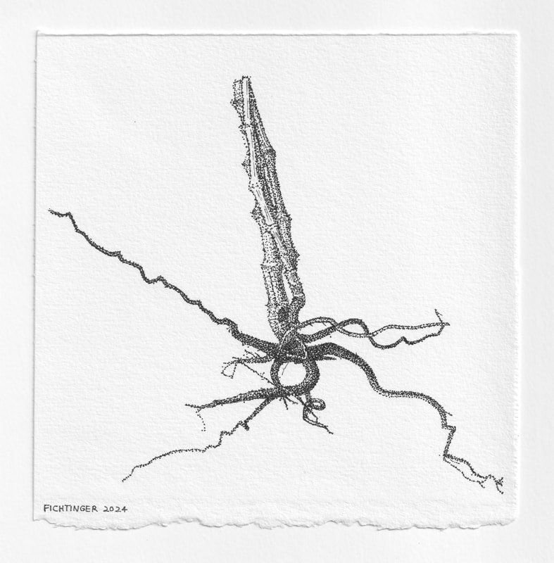 ink drawing of natural object