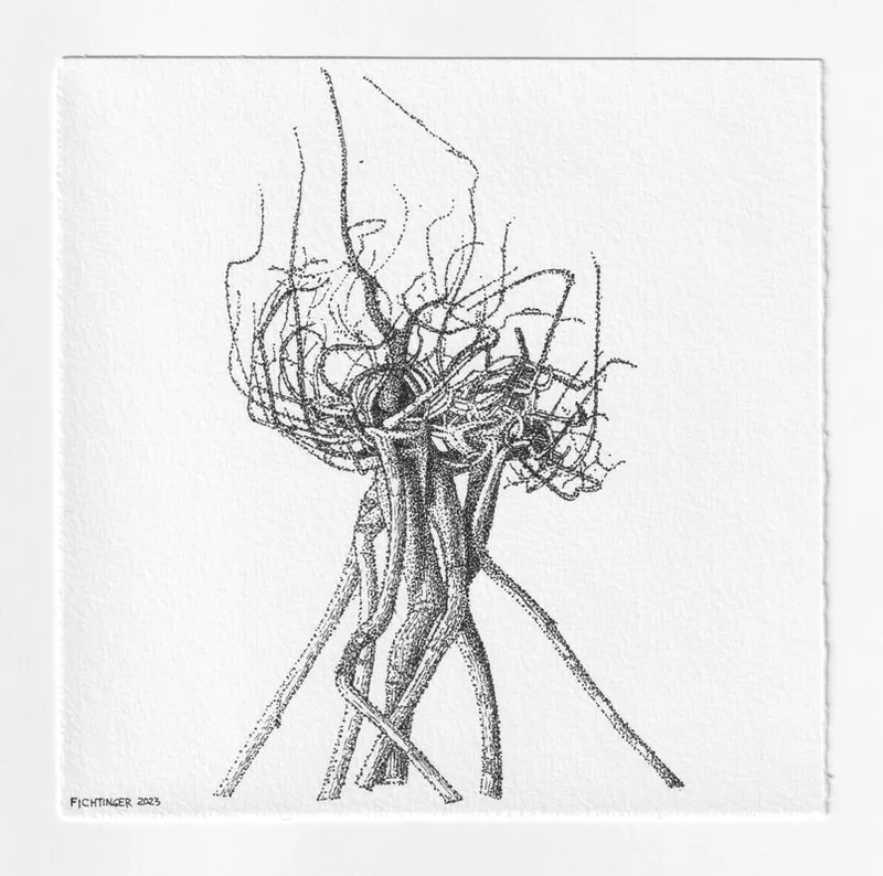 ink drawing of natural object