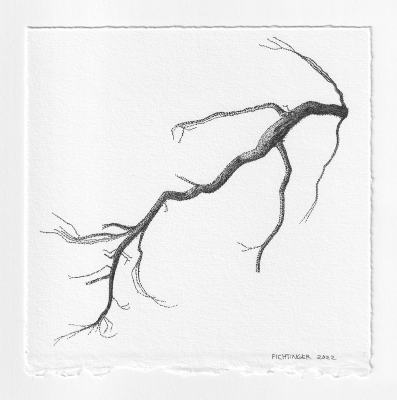 iink drawing of natural object