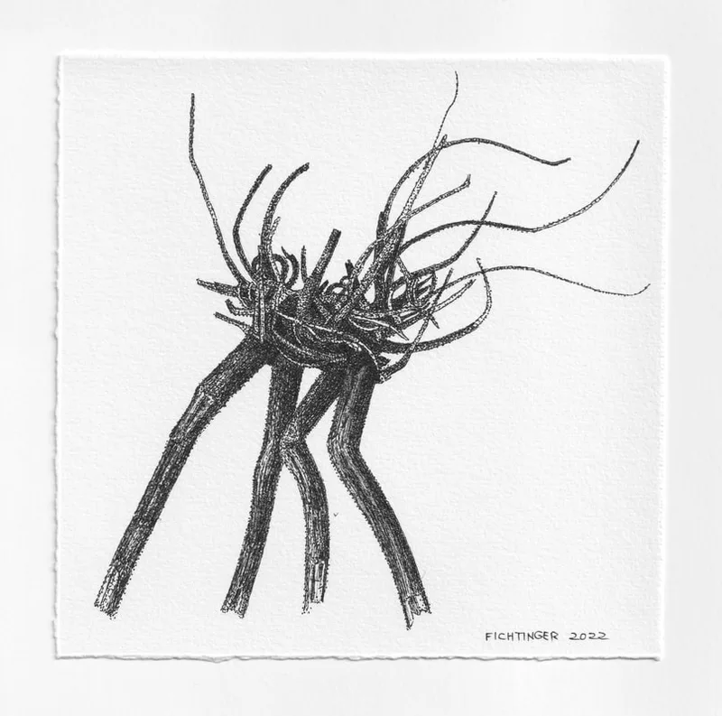 ink drawing of natural object