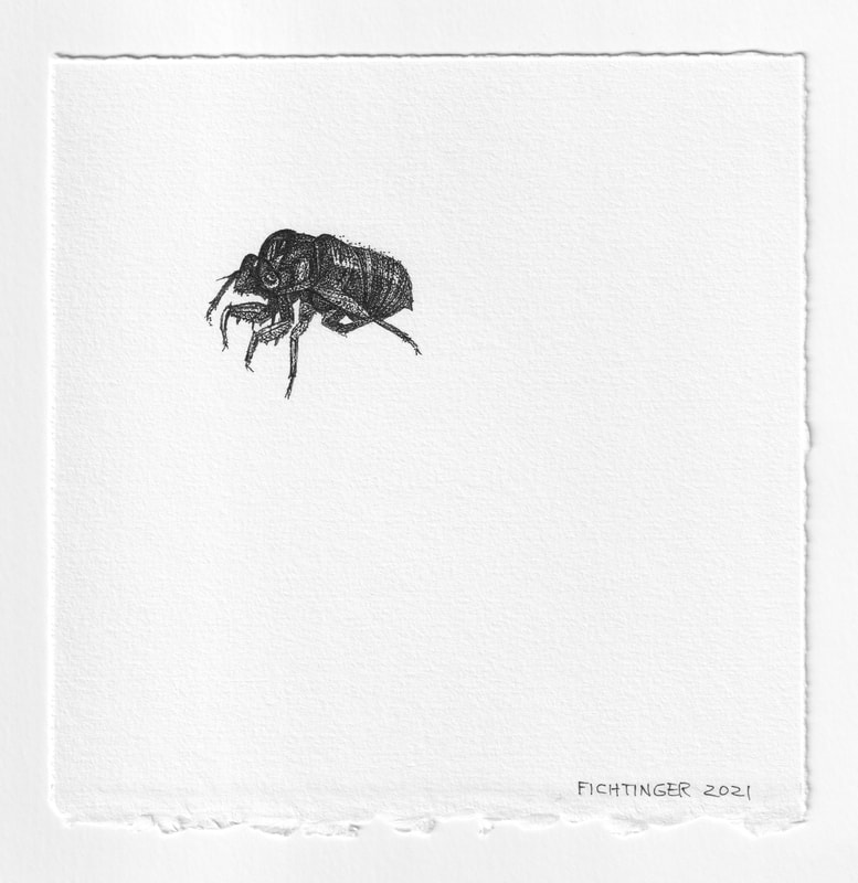 ink drawing of natural object