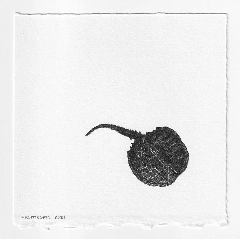 ink drawing of natural object