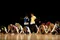 carousel chooser