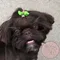 carousel chooser