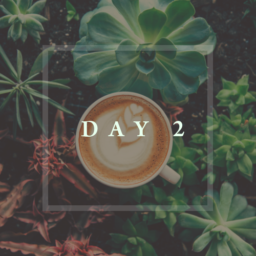 Here is a cappuccino in a white mug. It is surrounded by succulents in a garden. There is a slight white square overtop of the photo. In the square there is white capital text that says 