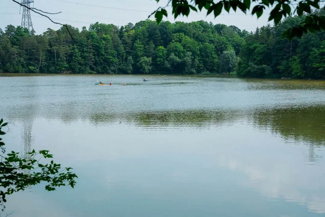 This is Dalewood Conservation area. This features Kettle Creek where there are two people kayaking. On the other side of the creek is a lot of green life such as trees, tall grasses and more.