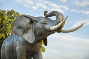 Image description