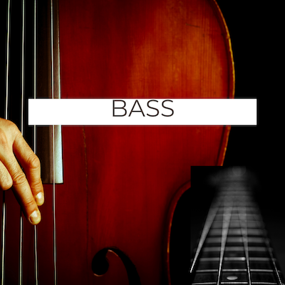 Bass Playlists (Best Of)
