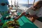 carousel chooser
