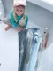 carousel chooser