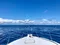 carousel chooser