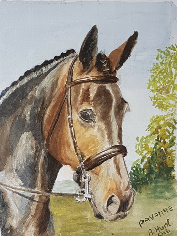 Horse portrait