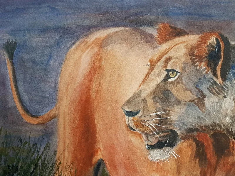 Lion at night