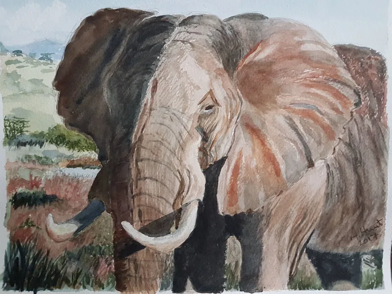 Bull elephant close up