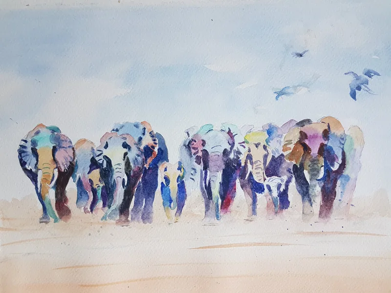 Herd elephants 