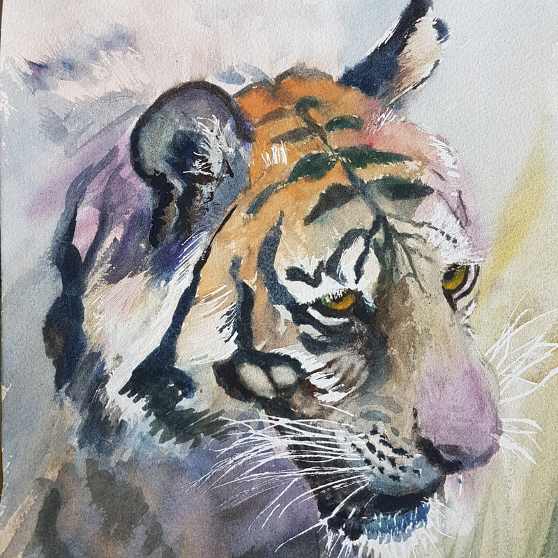 Tiger hed