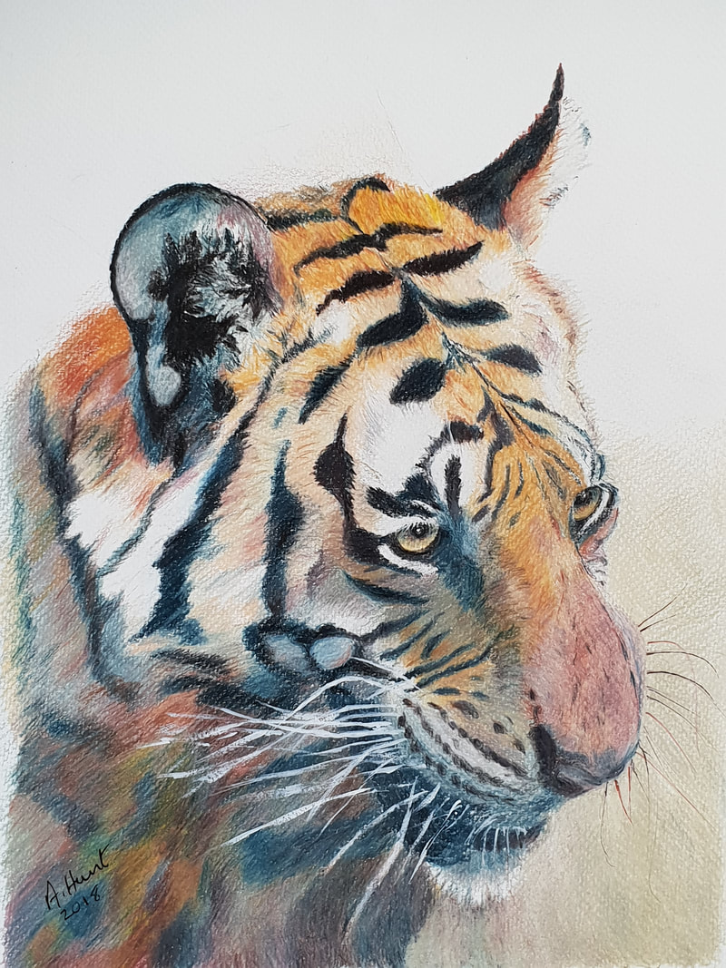 Head of a tiger