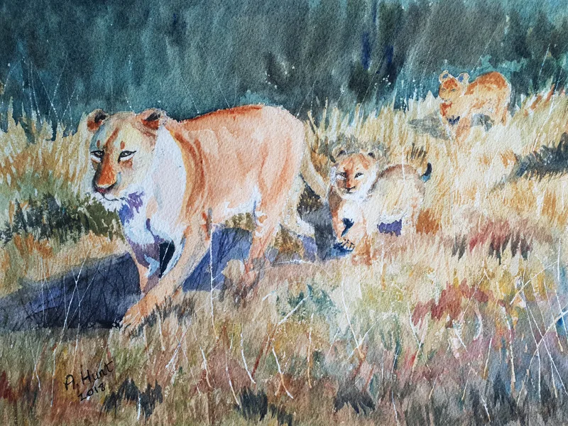 Lioness takes her 2 cubs for a stroll