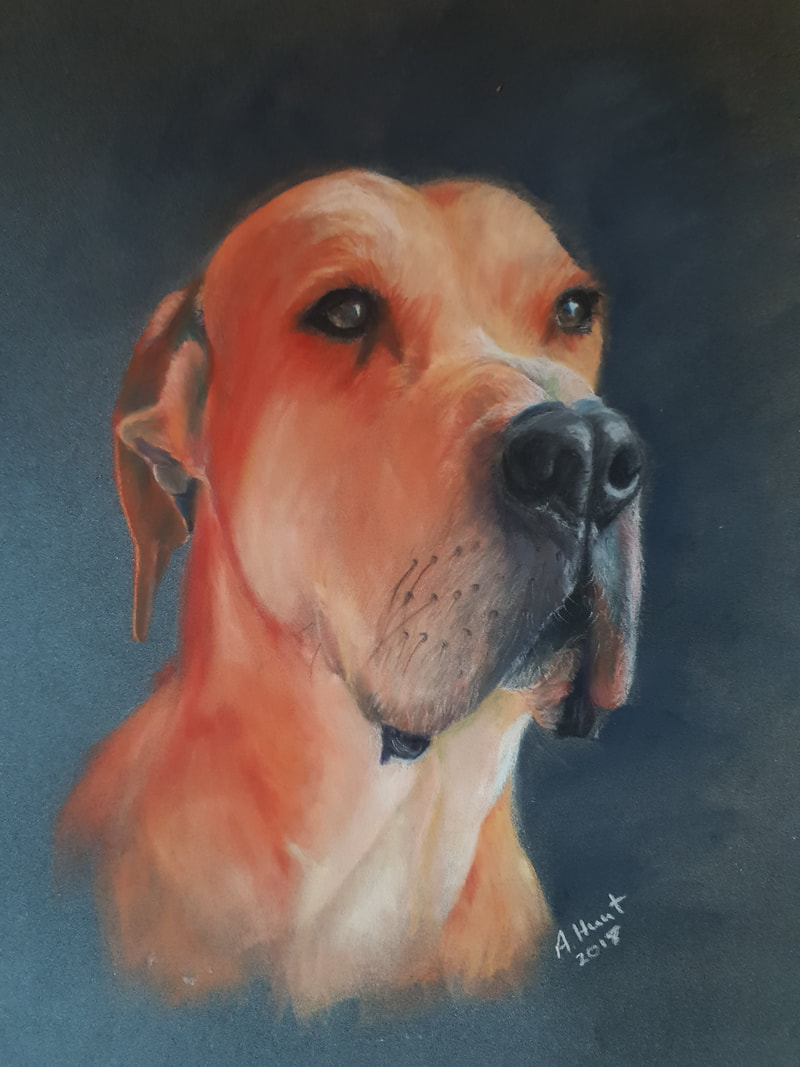 Great Dane