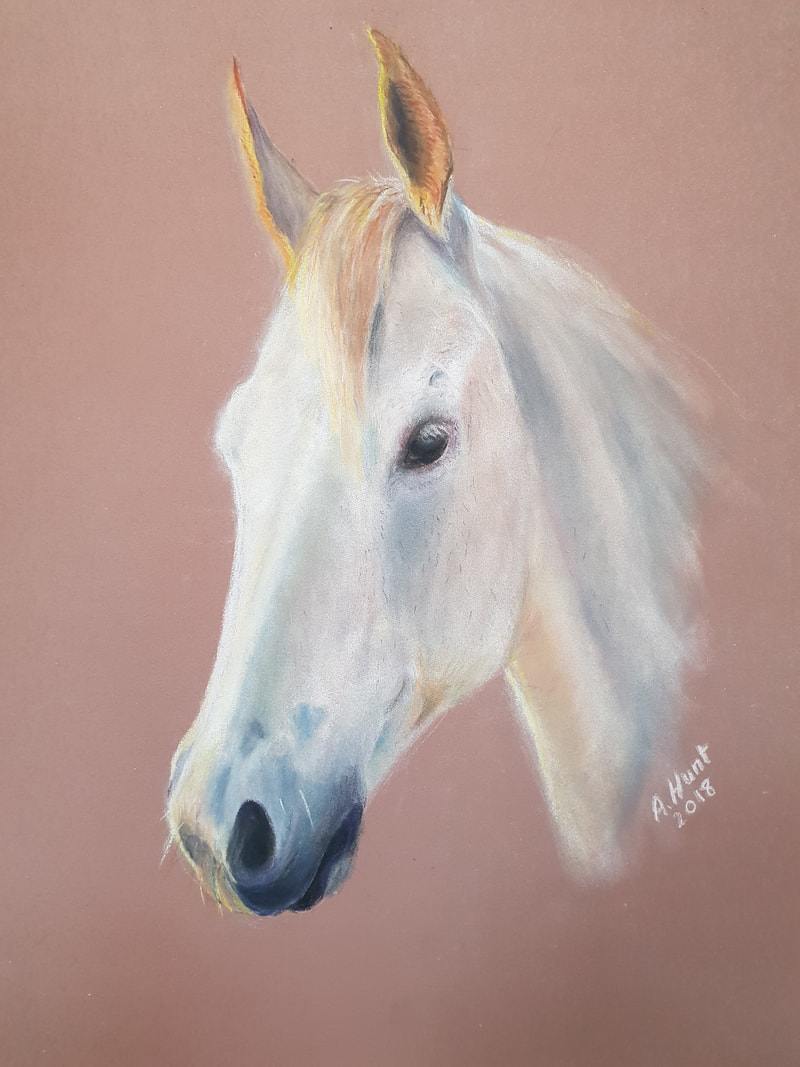 Horse portrait