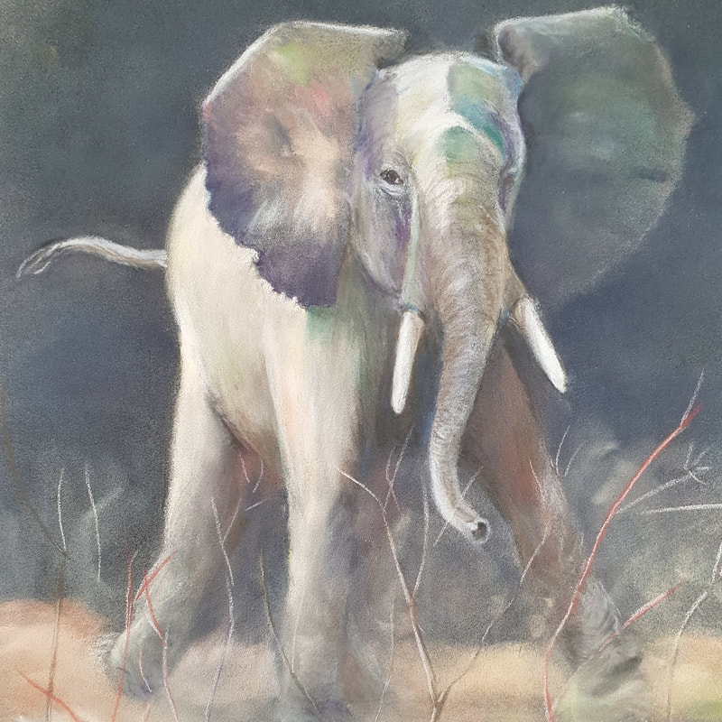 Elephant attacking 