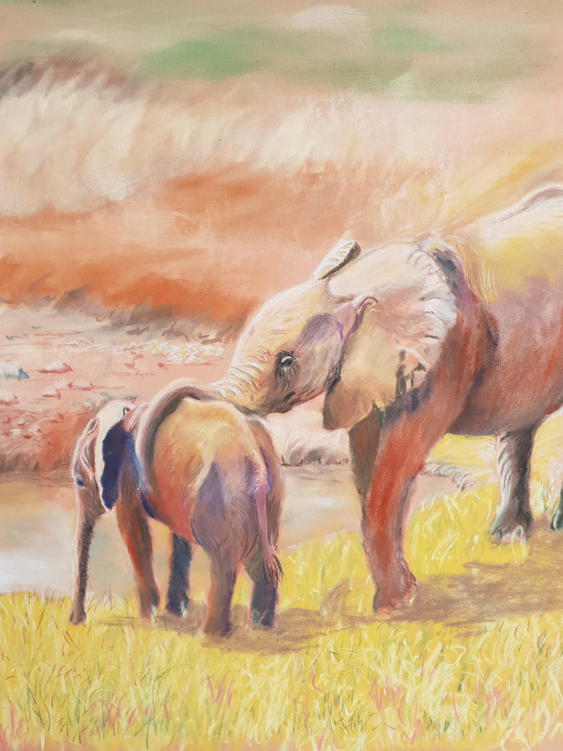 2 baby elephants