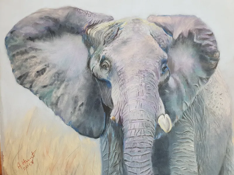 Elephant portrait