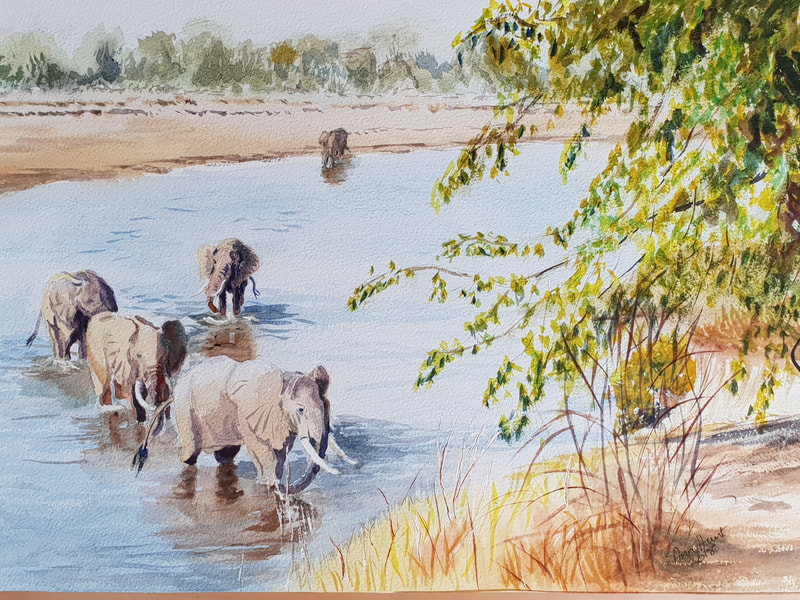 elephants crossing river