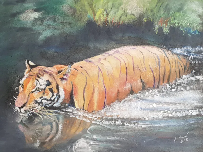 Swimming tiger