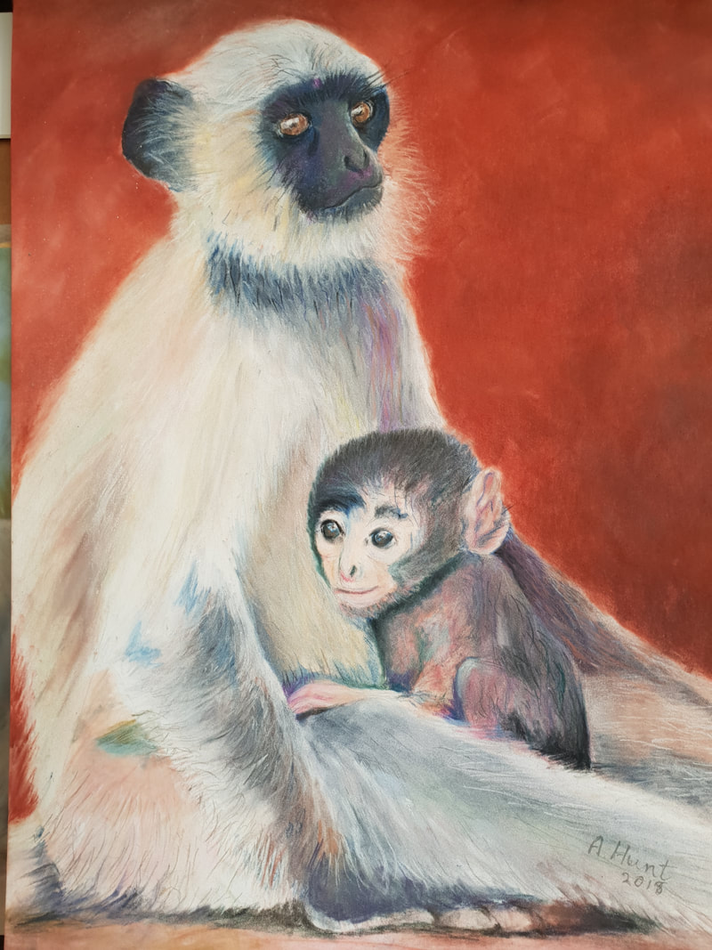 Vervet monkey and baby