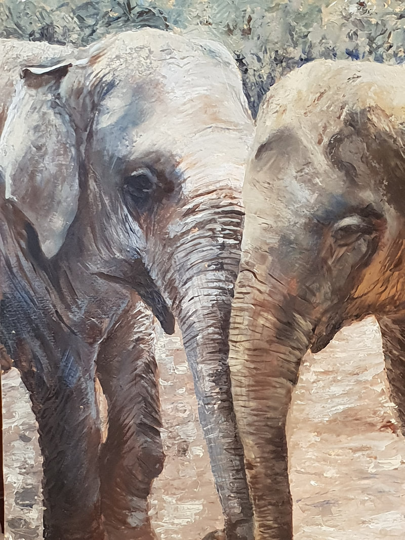 2 indian elephants