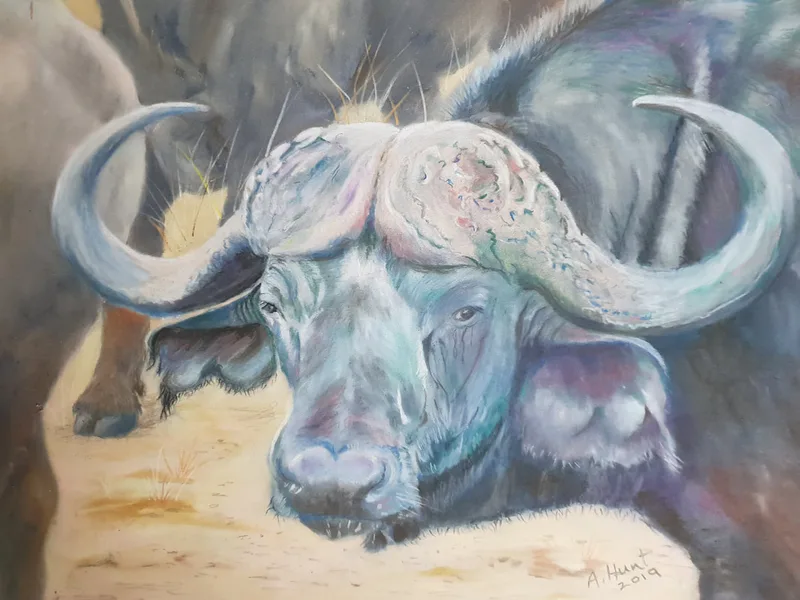 Cape Buffalo