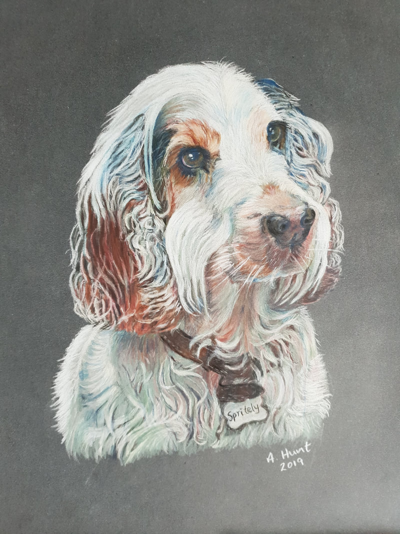 portrait of dog