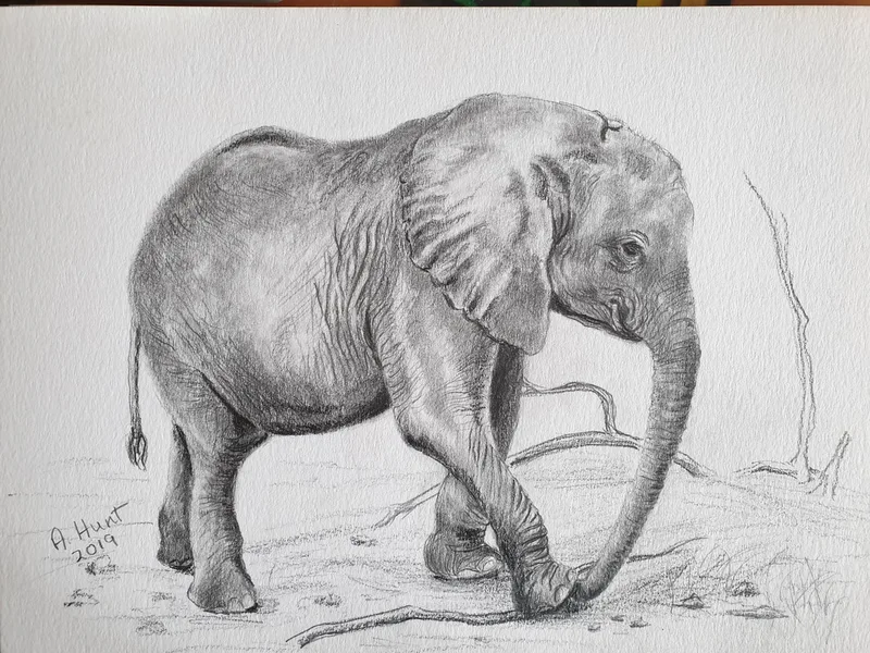 elephant stans on tree