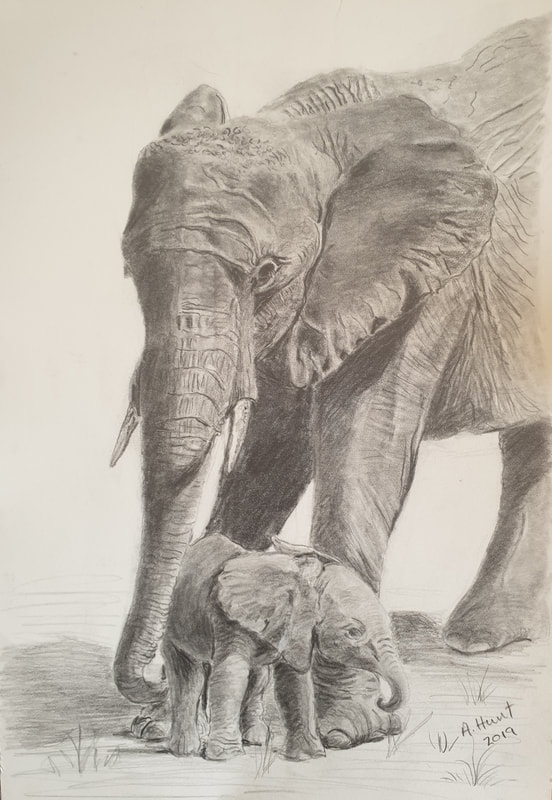 mother and baby elephant