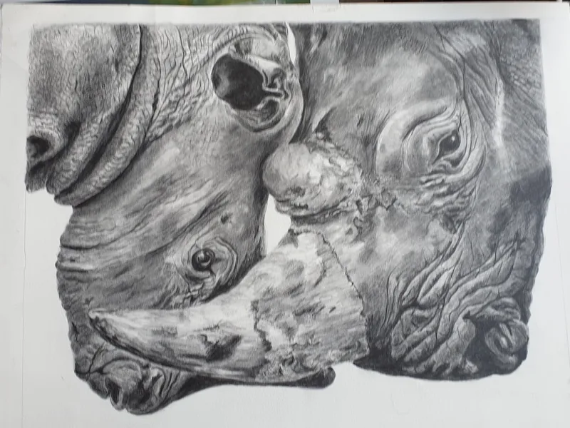 Mother and baby rhino