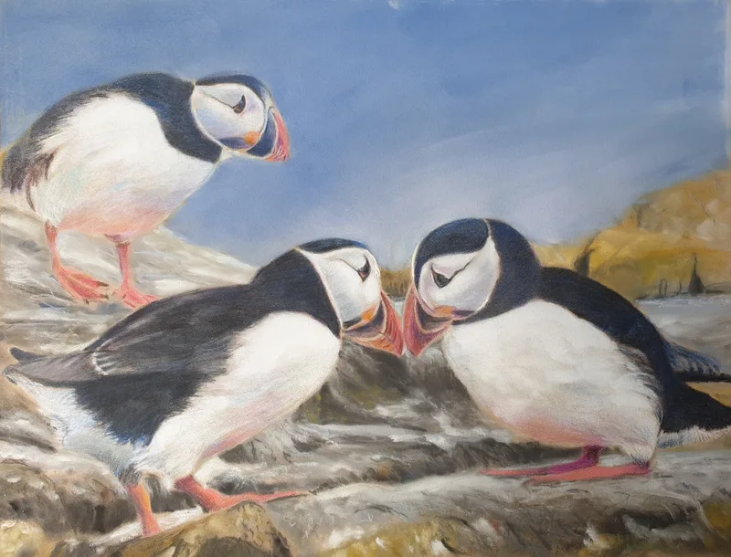 three puffins